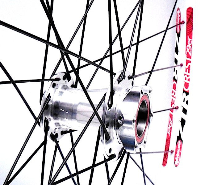 Paulies New Onespeed bling!