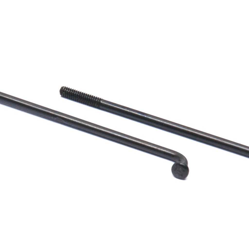 DT Swiss Champion Plain Gauge J Bend Black Spokes